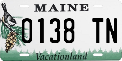 ME license plate 0138TN