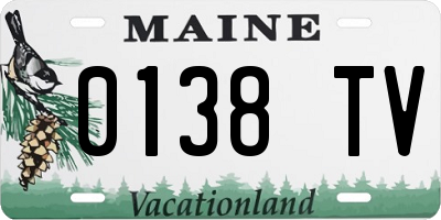 ME license plate 0138TV
