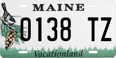 ME license plate 0138TZ
