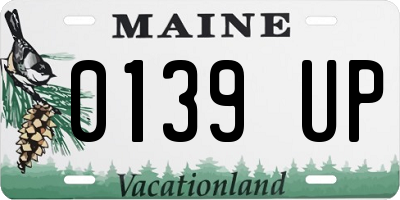 ME license plate 0139UP