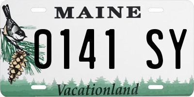 ME license plate 0141SY