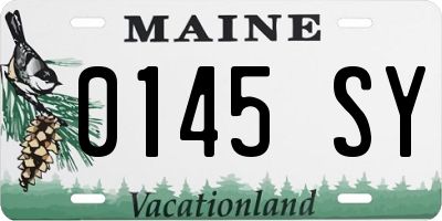 ME license plate 0145SY