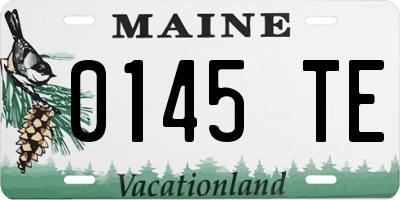 ME license plate 0145TE