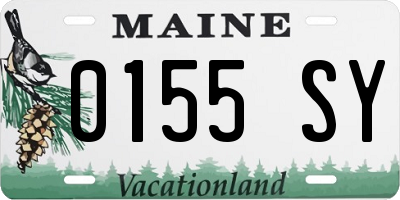 ME license plate 0155SY