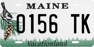 ME license plate 0156TK