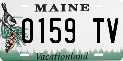 ME license plate 0159TV