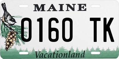 ME license plate 0160TK