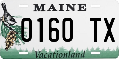 ME license plate 0160TX