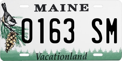 ME license plate 0163SM