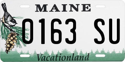 ME license plate 0163SU