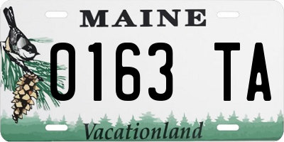ME license plate 0163TA