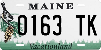 ME license plate 0163TK