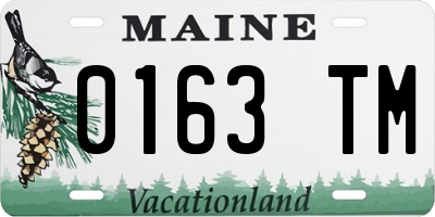 ME license plate 0163TM