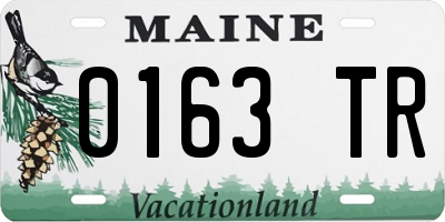 ME license plate 0163TR