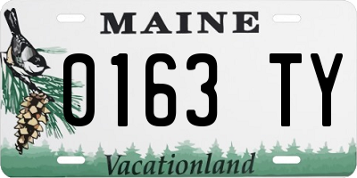 ME license plate 0163TY