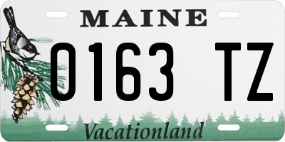 ME license plate 0163TZ