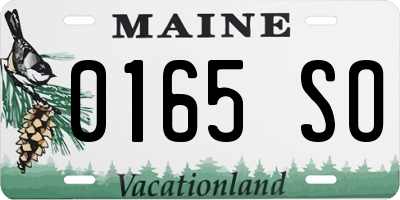 ME license plate 0165SO