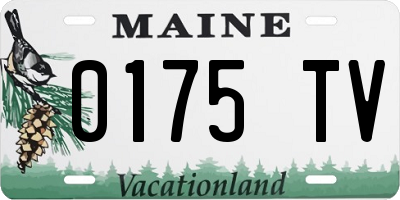 ME license plate 0175TV