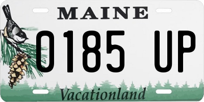 ME license plate 0185UP