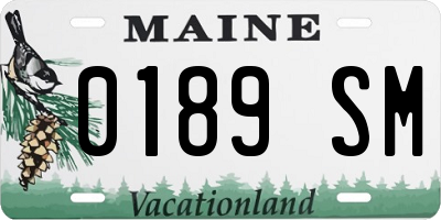 ME license plate 0189SM