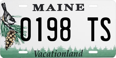 ME license plate 0198TS