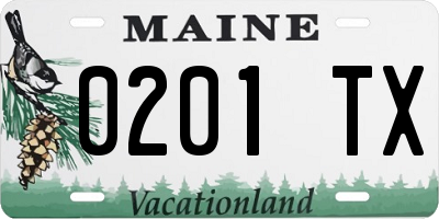 ME license plate 0201TX