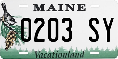 ME license plate 0203SY