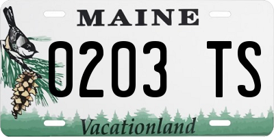 ME license plate 0203TS