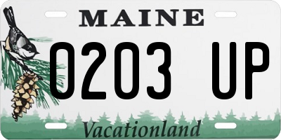 ME license plate 0203UP