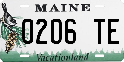 ME license plate 0206TE