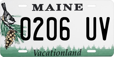 ME license plate 0206UV