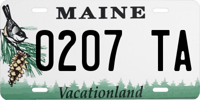 ME license plate 0207TA