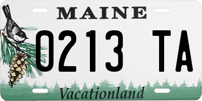 ME license plate 0213TA