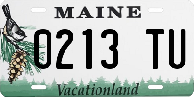 ME license plate 0213TU