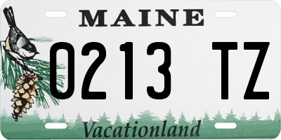 ME license plate 0213TZ