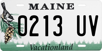 ME license plate 0213UV