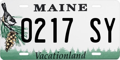 ME license plate 0217SY