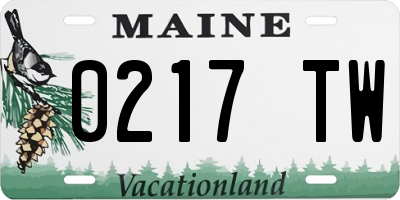 ME license plate 0217TW