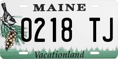 ME license plate 0218TJ