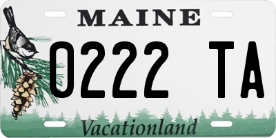 ME license plate 0222TA