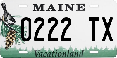 ME license plate 0222TX