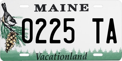ME license plate 0225TA