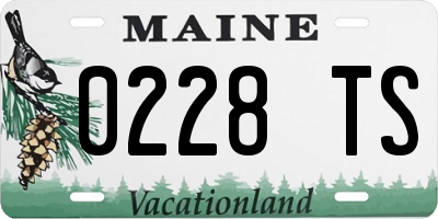 ME license plate 0228TS