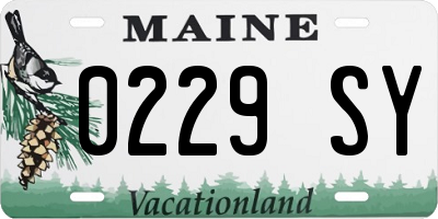 ME license plate 0229SY
