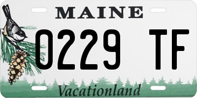 ME license plate 0229TF