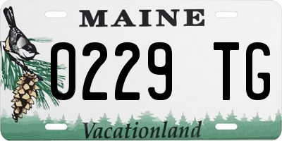 ME license plate 0229TG