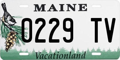 ME license plate 0229TV