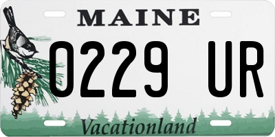 ME license plate 0229UR