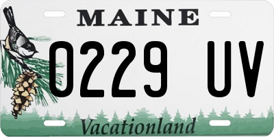 ME license plate 0229UV