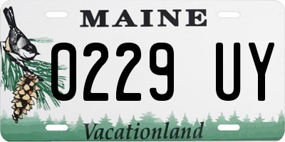 ME license plate 0229UY